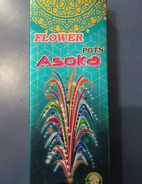 Flower Pots Asoka
